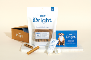 BARK Bright Dog Dental Kit Review | Our Experience With the World’s First Dog Toothpaste and Dental Chew Combo