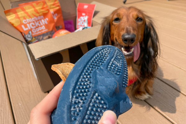 Dog food direct shop coupon