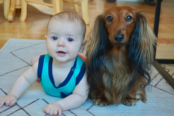 Baby dotson puppy discount