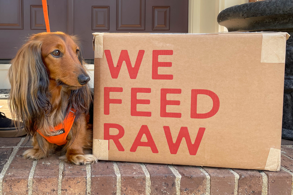 We Feed Raw Dog Food Review Our Experience with the Minimally Process