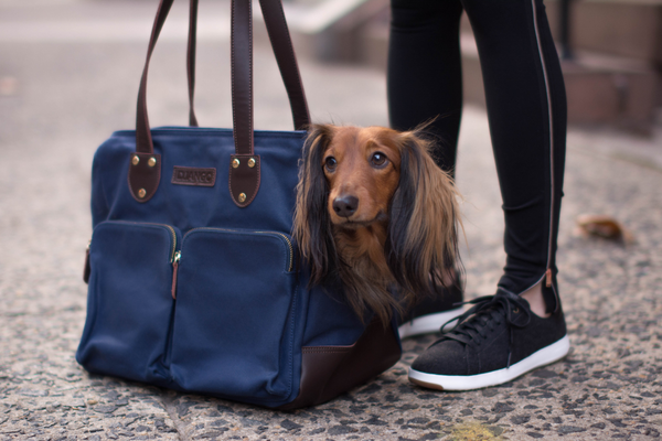 Dachshund Designer Handbag