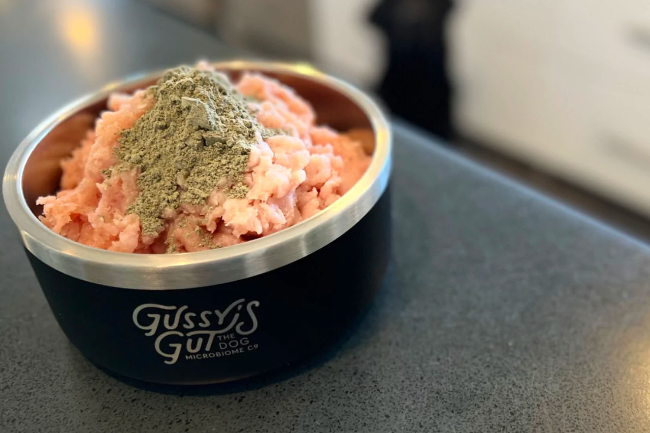 Gussy’s Gut: Fermented Superfood that Promotes Dog Gut Health - DJANGO Dog Blog