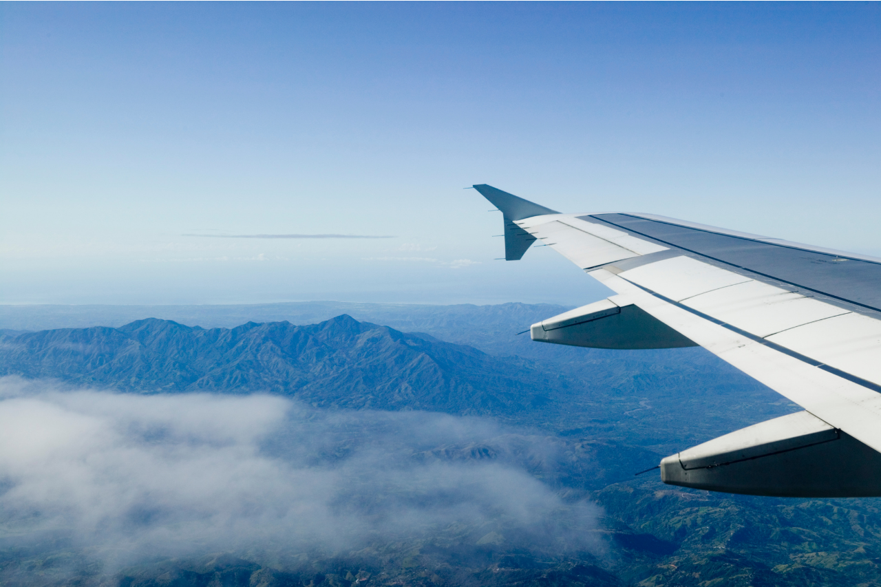 DJANGO Dog Blog - How to Prepare Your Dog to Fly in the Airplane Cabin - djangobrand.com