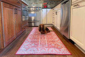 Tumble Rugs Review: Best Washable Rug for Toddlers, Pets, and Modern Living