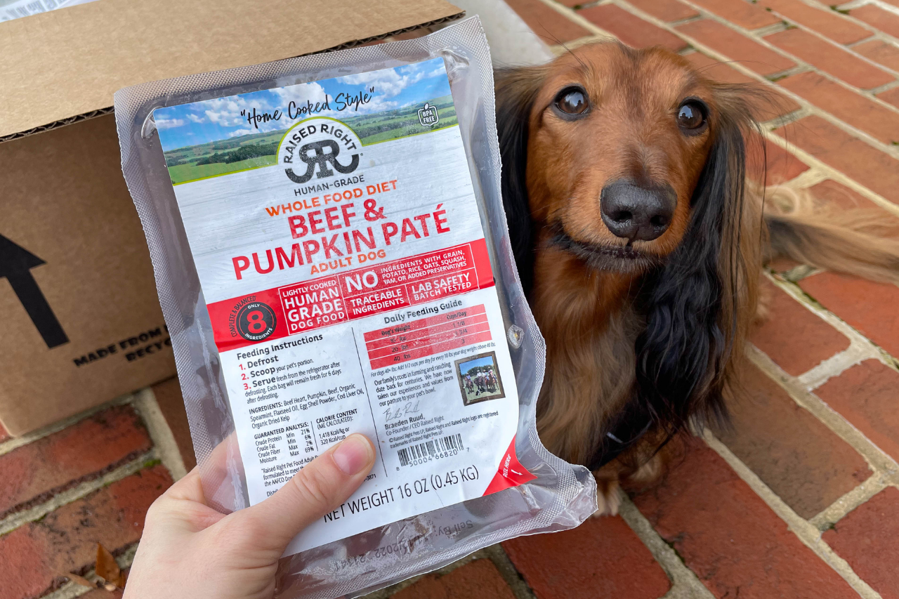 DJANGO Dog Blog Raised Right Fresh Dog Food Review - djangobrand.com