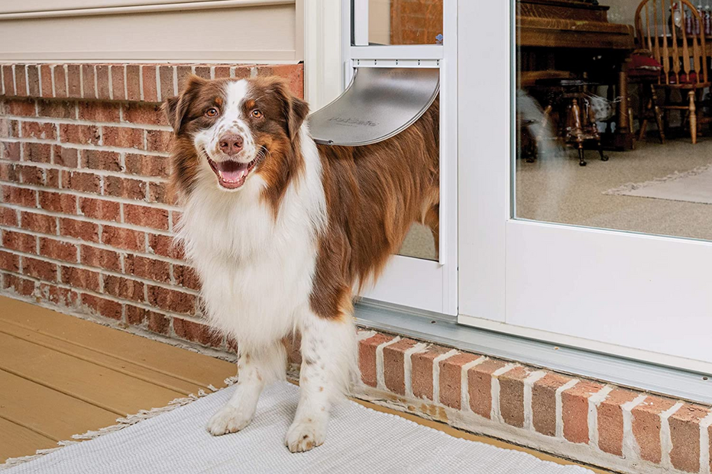 Creating Dog Friendly Entrances The Role of Exterior Doors in Your Pe