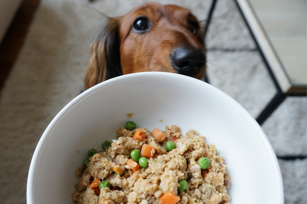 Best fresh dog sales food delivery service