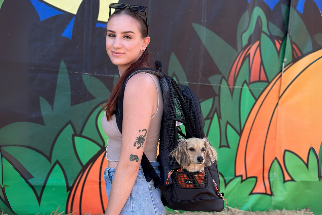 DJANGO Dog Backpack Carrier FAQs - Are backpack carriers good for dogs? Do dogs like riding in backpack carriers? Are backpack carriers OK for dachshunds? - djangobrand.com