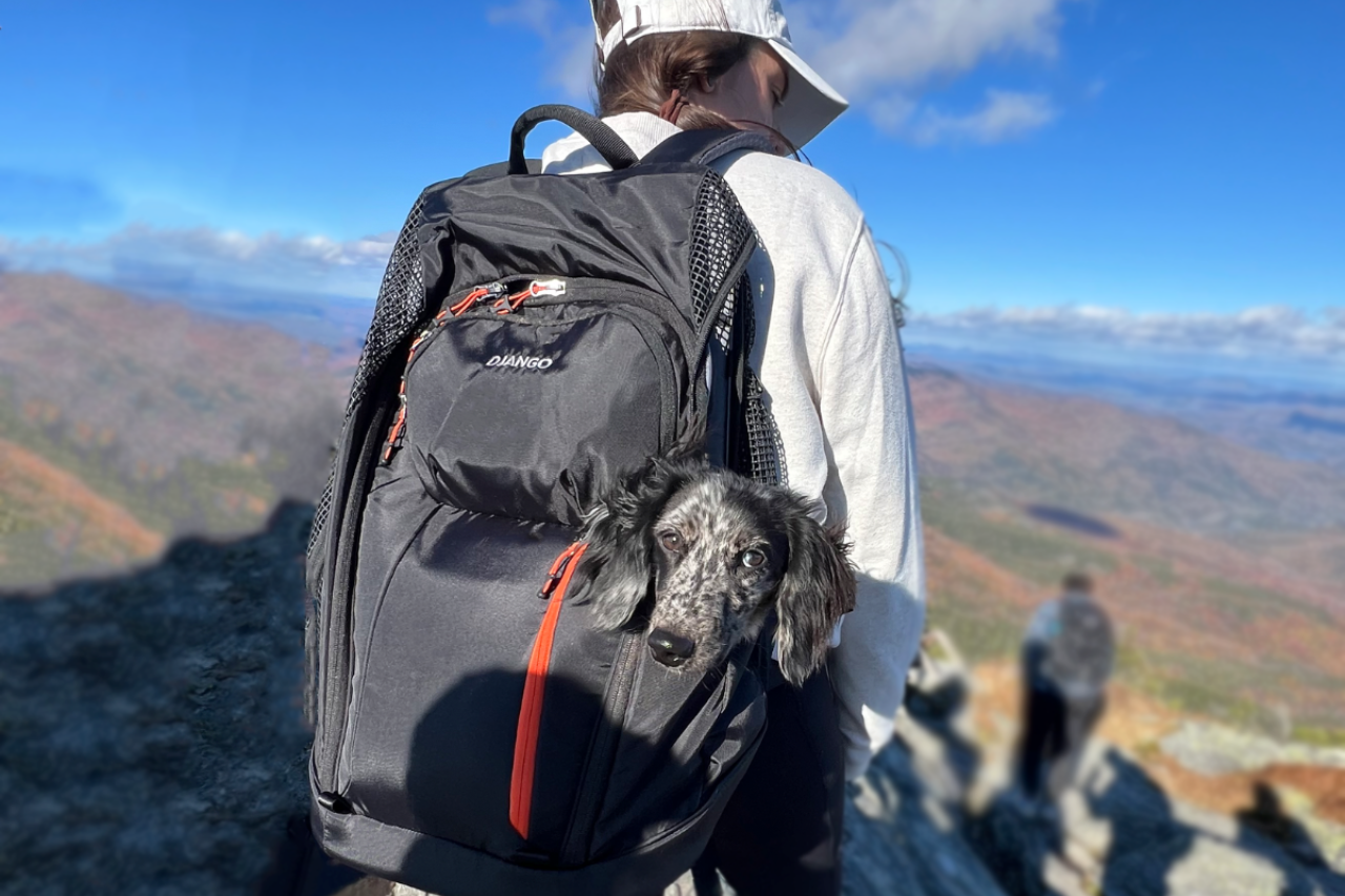 Best Dog Carrier Backpack Reviews | Pet Backpack Carrier Product Reviews