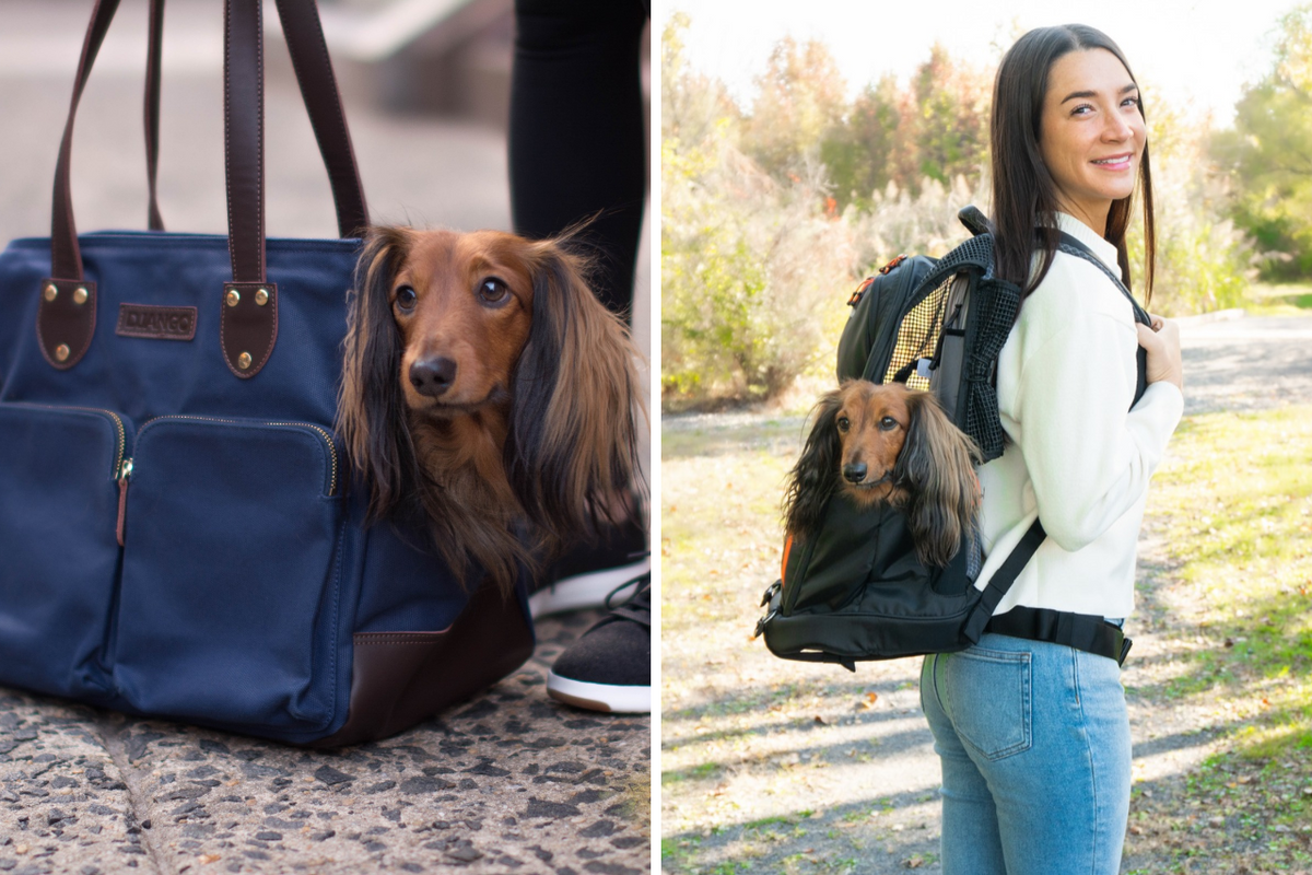 Dog carrier tote vs. backpack comparison showing small dog riding in a DJANGO tote bag and backpack carrier.