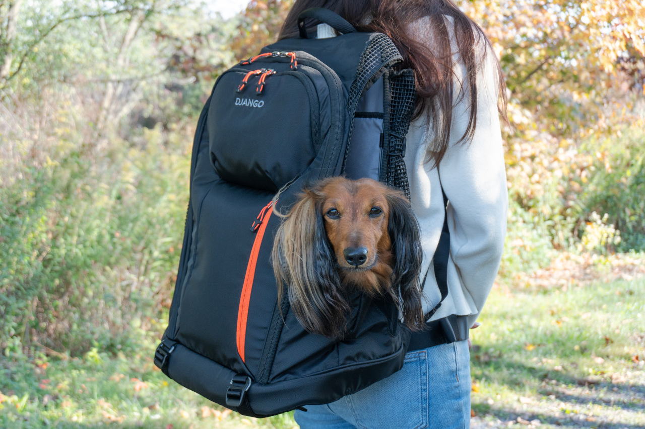 Dog owner wearing horizontal-style dog backpack carrier with small dog inside