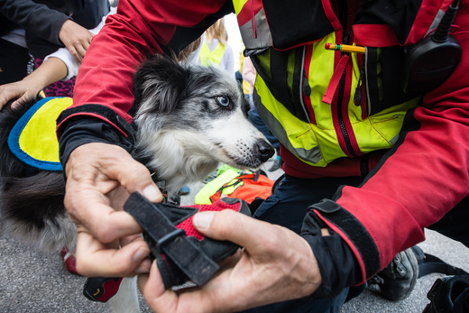 How to donate to LA fires - djangobrand.com