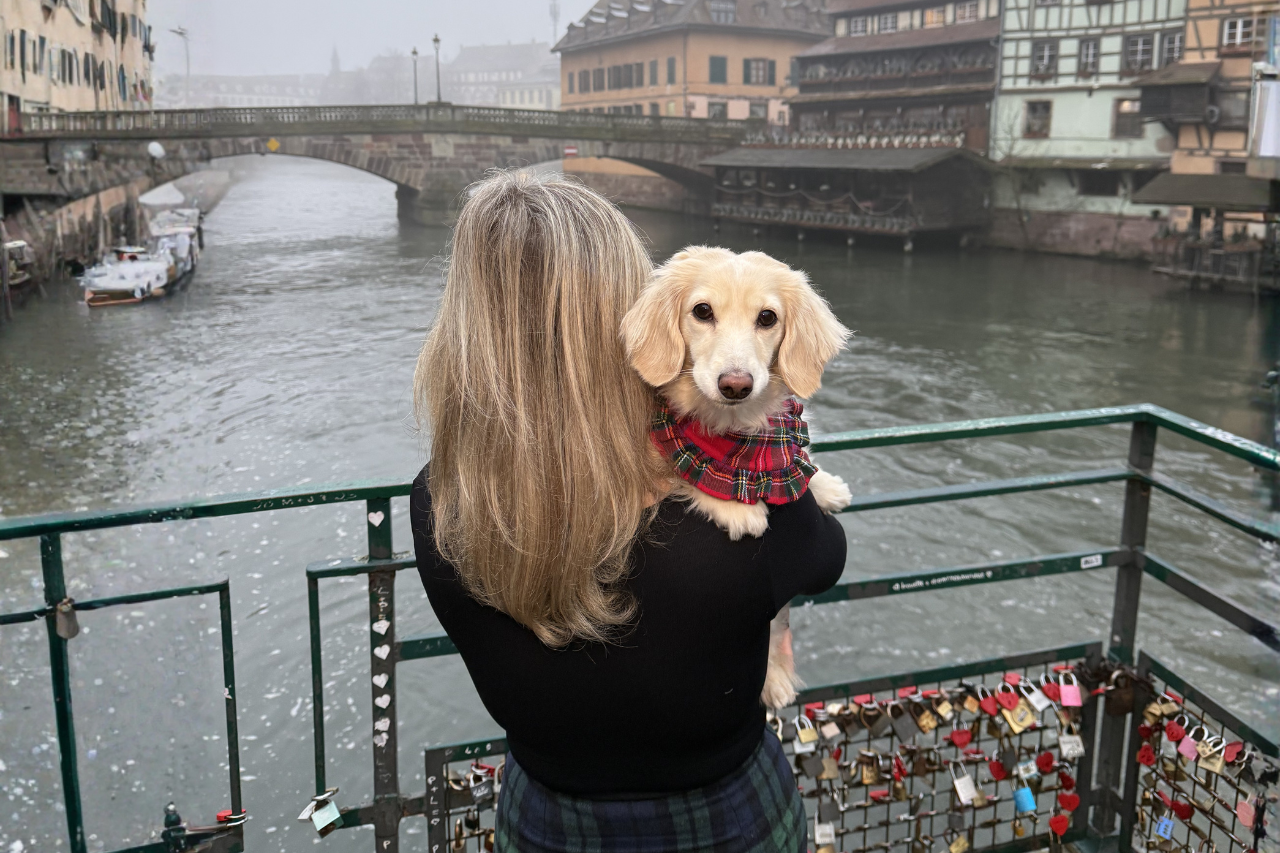 Long-haired dachshund traveling through Europe with her owner in dog-friendly Strasbourg, France