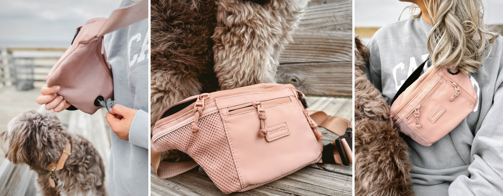 Best fanny pack for dog walking top