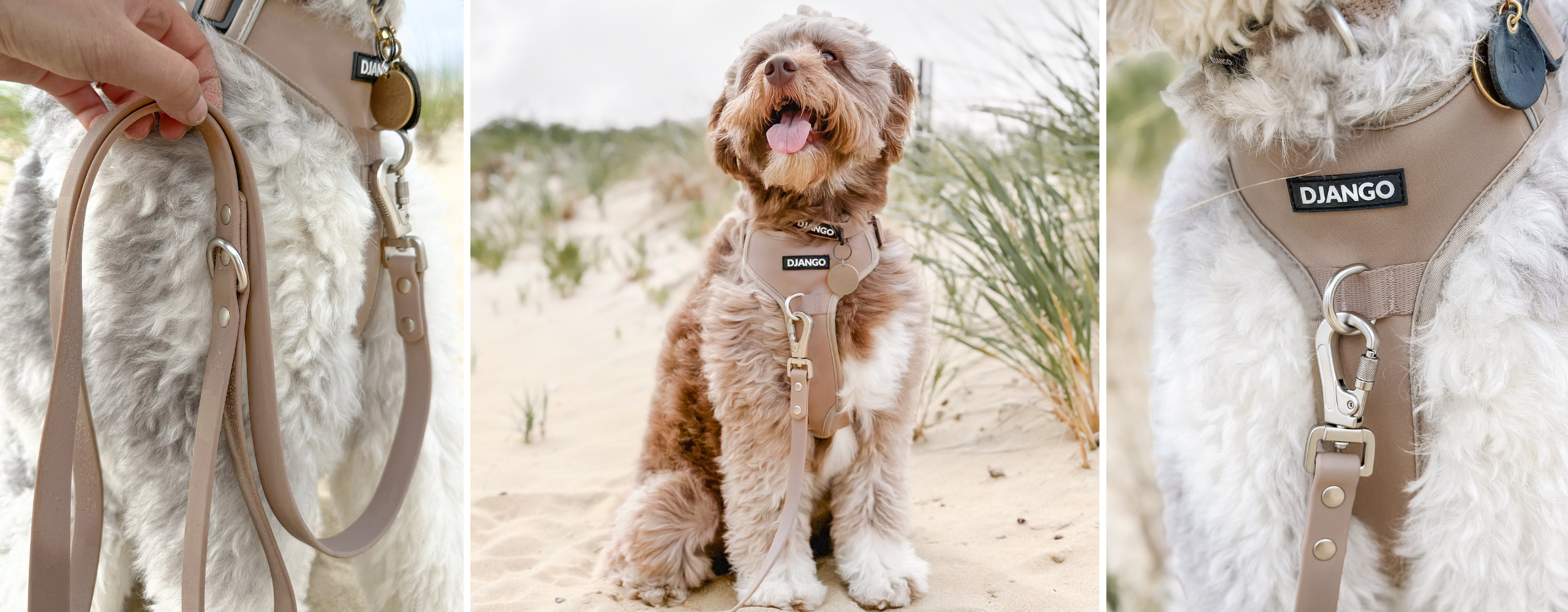 The Tahoe Dog Leash is a waterproof, dirt-resistant, and odor-resistant dog leash. Made of soft and durable coated webbing, the Tahoe leash is easy to clean, comfortable to hold, and fully functional in all conditions and terrain.