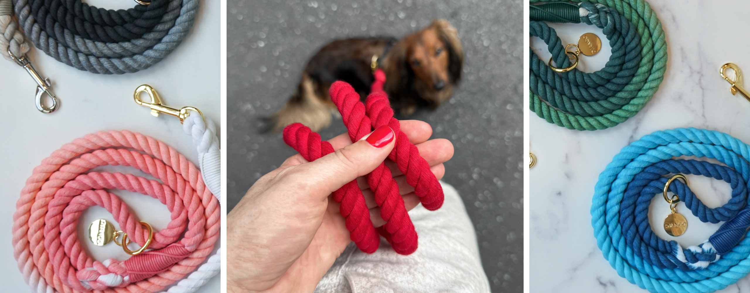 DJANGO cotton rope dog leashes in solid and ombré colors