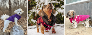 DJANGO Dog Puffer Coats are warm, water-repellent, cozy, and comfortable. Wear your DJANGO dog coat and stay warm, dry, and protected all season long! djangobrand.com