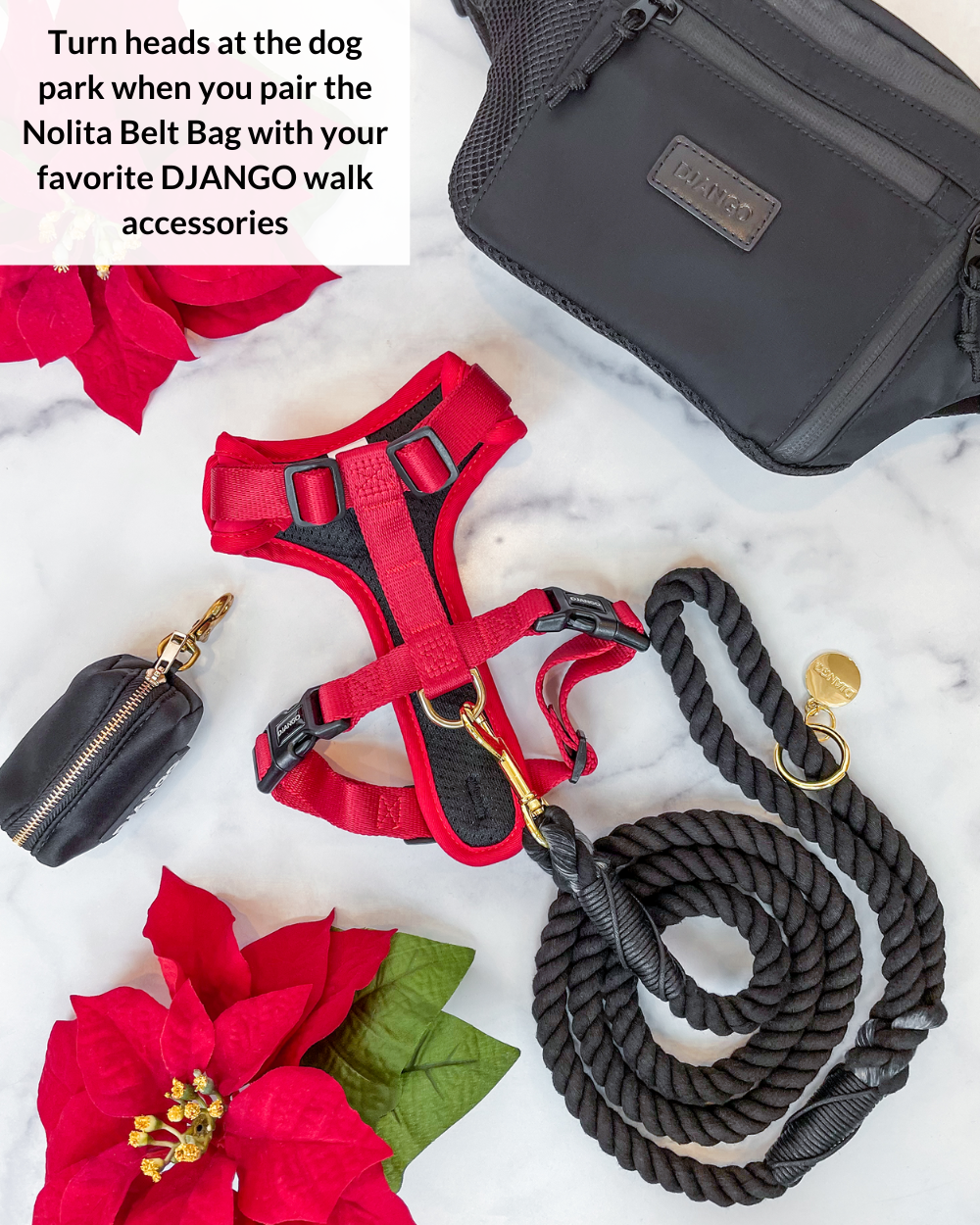 DJANGO Nolita Belt Bag in Black - Modern, sleek, ultra-functional, and dog-friendly nylon fanny pack for everyday outings and adventures - djangobrand.com