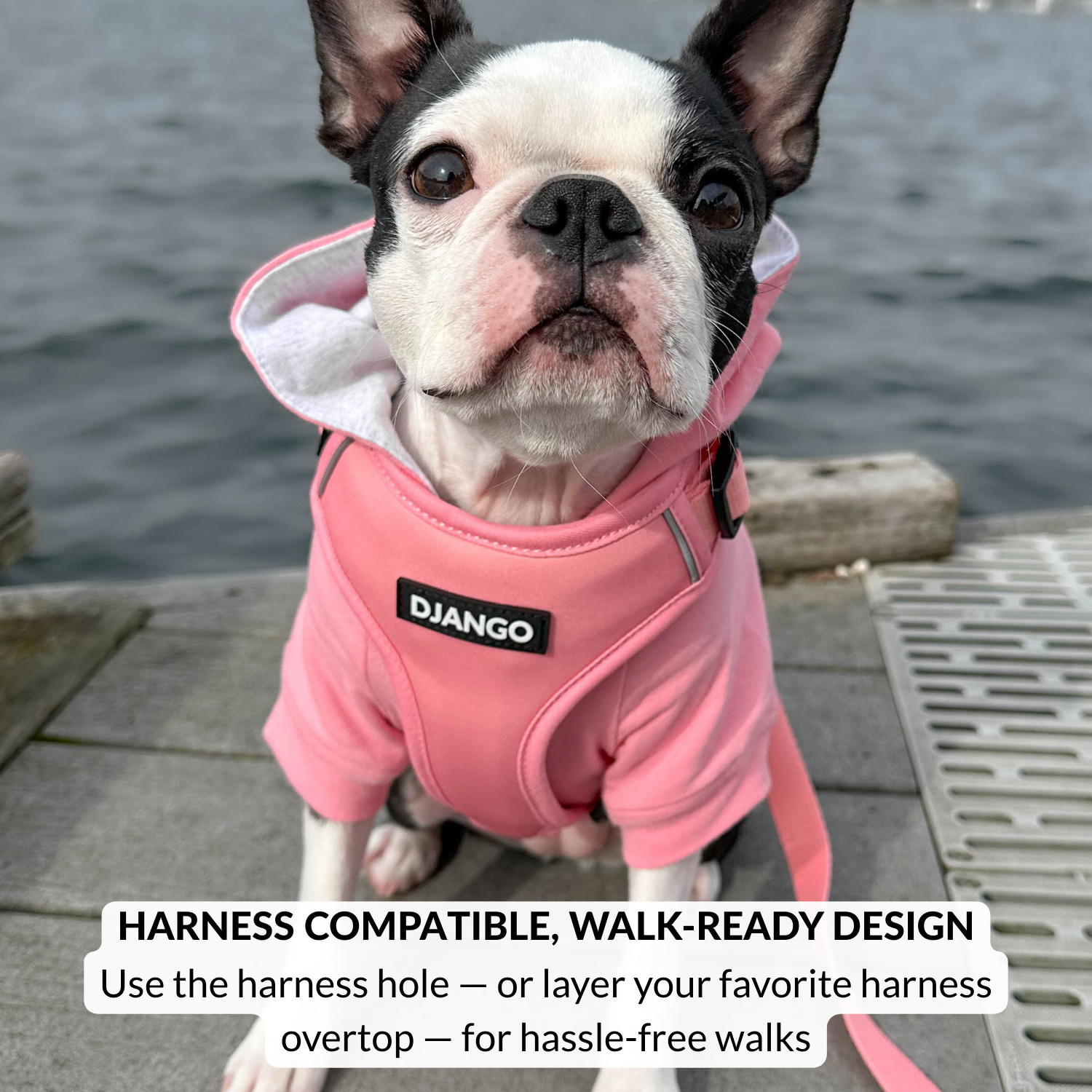 Dog Hoodies - Soft, Cozy, and Fully Lined