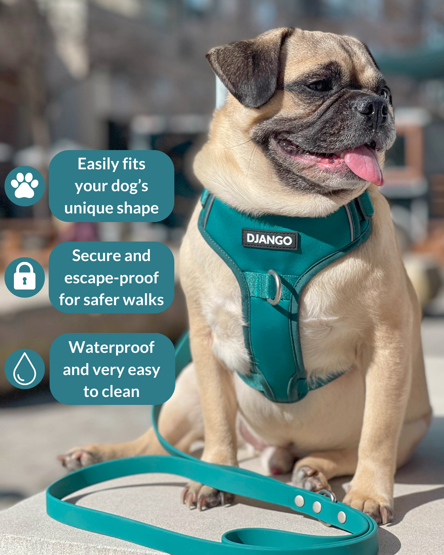 Tahoe No Pull Dog Harness - Dark Teal Green