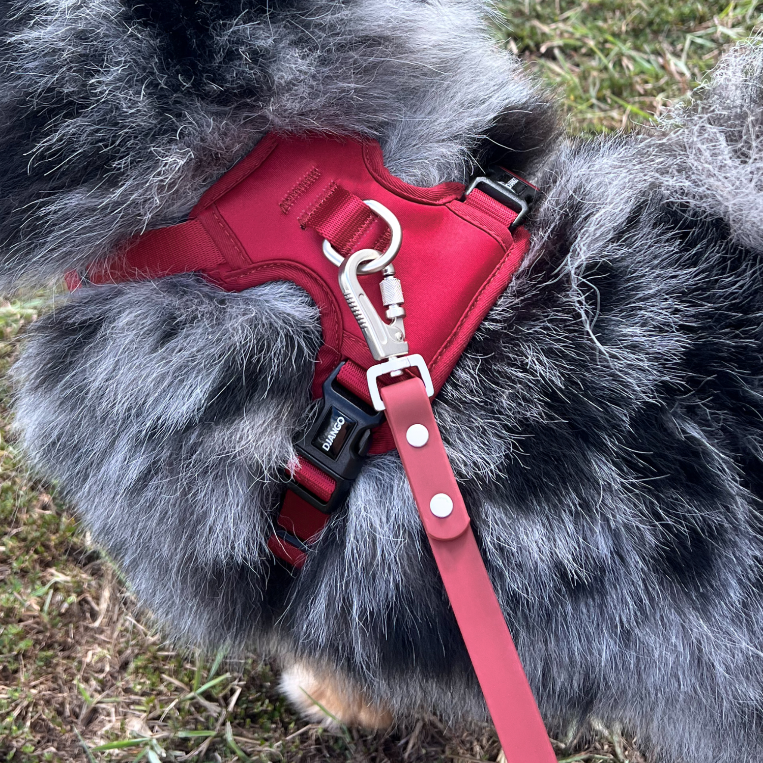 Tahoe Waterproof Dog Leash - Firelight Red