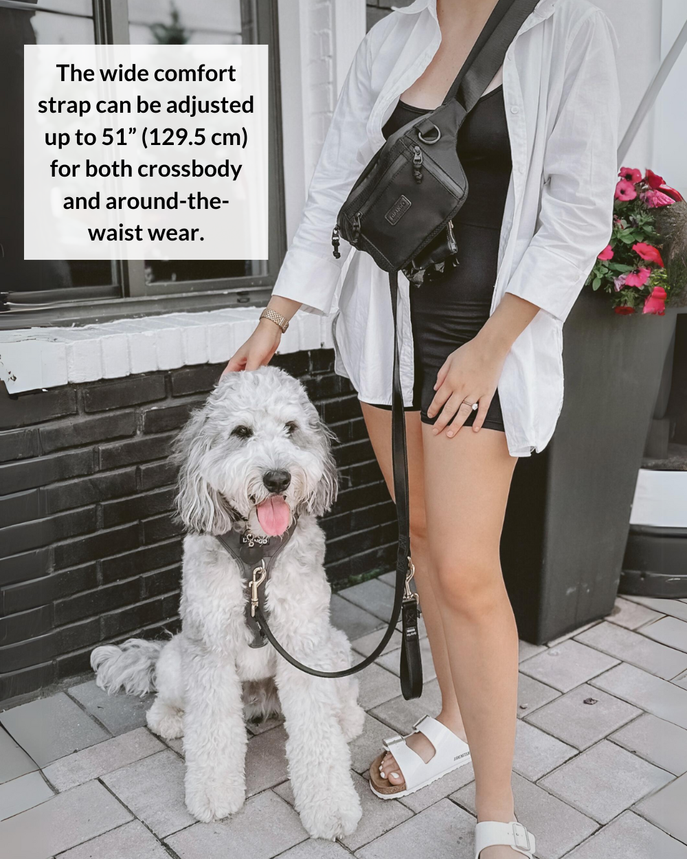 DJANGO Nolita Belt Bag in Black - Modern, sleek, ultra-functional, and dog-friendly nylon fanny pack for everyday outings and adventures - djangobrand.com