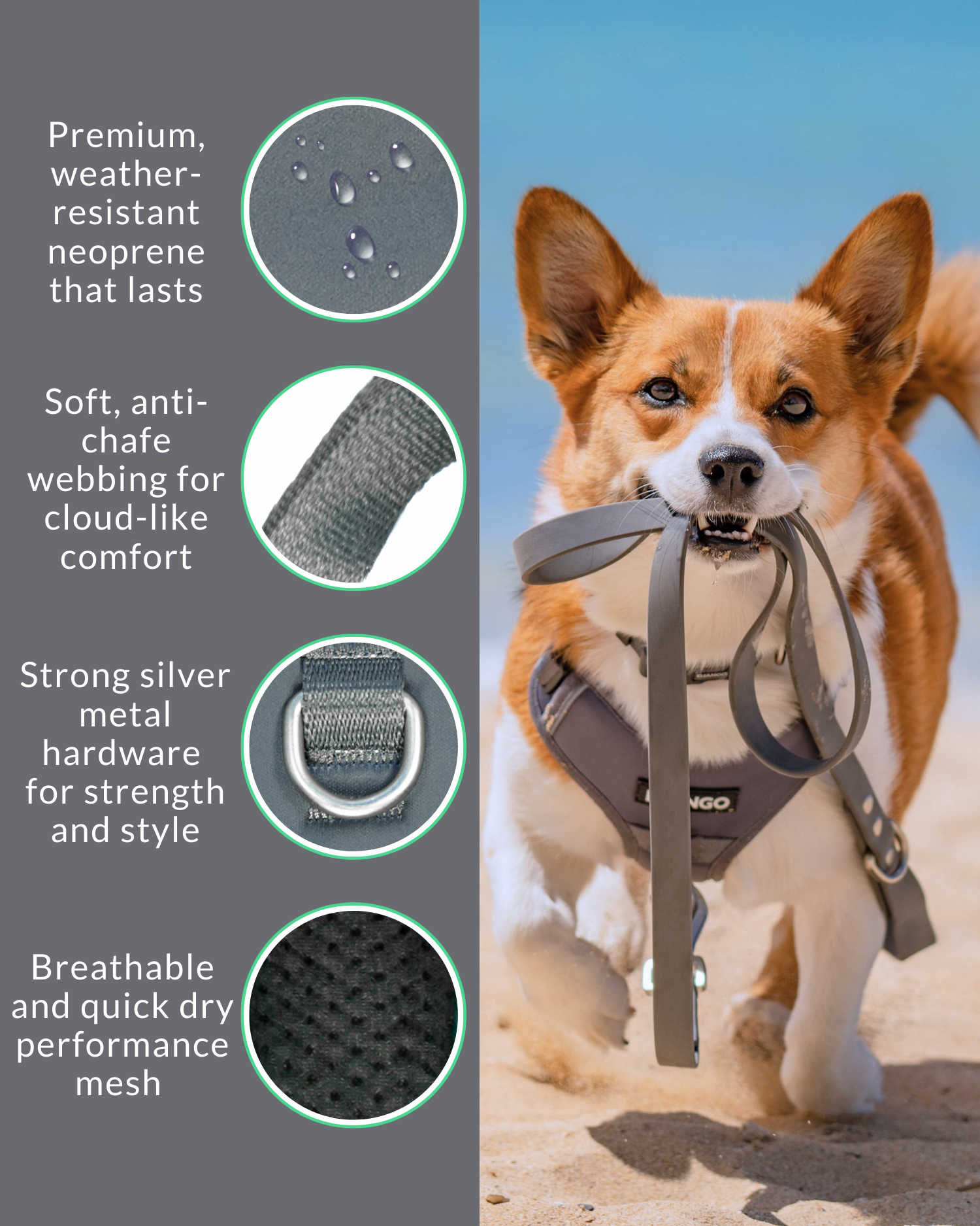 Django’s Poppy Seed Gray no pull dog harness – Lightweight, breathable, and built for active dogs who love outdoor adventures and daily walks
