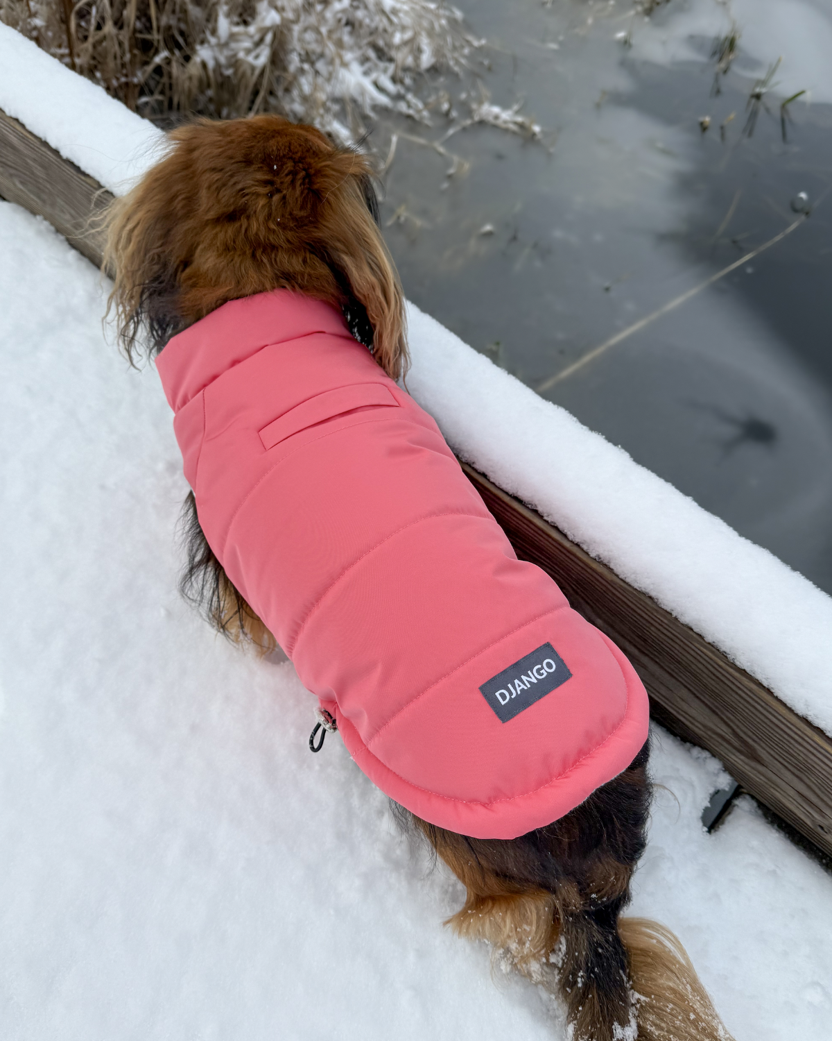 When it comes to choosing the best winter coat for small dogs, the Snowline™ Puffer Dog Coat stands out. Engineered for ultimate comfort and warmth, this insulated puffer coat keeps dogs protected from snow and slush while offering a sleek, modern look. Whether you choose the water-repellent solid side or flip it for the cozy striped lining, this winter coat ensures your dog stays snug, dry, and stylish all winter long.