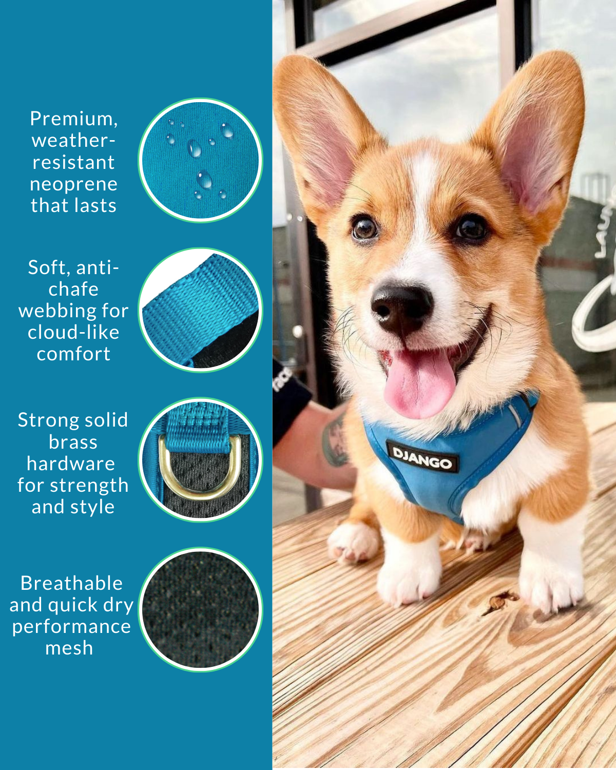 This lightweight dog harness is padded and adjustable - perfect for growing puppies that need a comfortable harness for everyday use