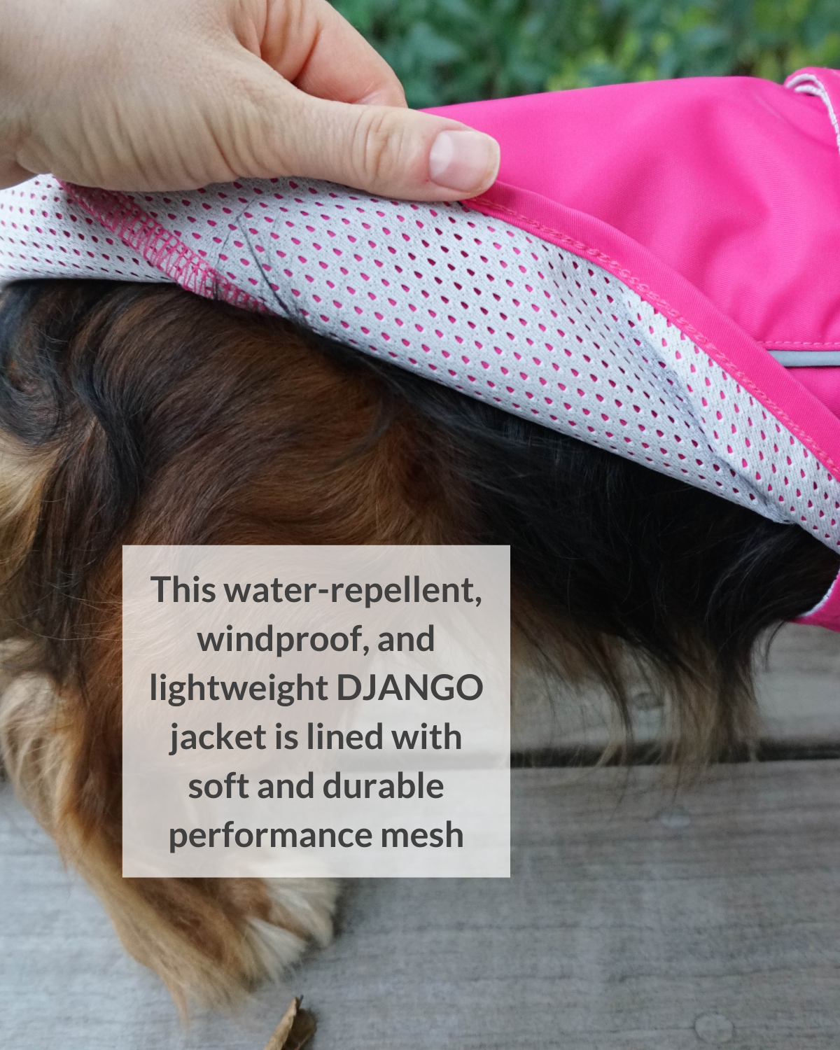 The DJANGO City Slicker in Cerise Pink is a water-repellent raincoat designed for active dogs and dachshunds. Its lightweight construction offers premium weather protection while maintaining comfort, making it the best raincoat for active dogs in wet conditions.