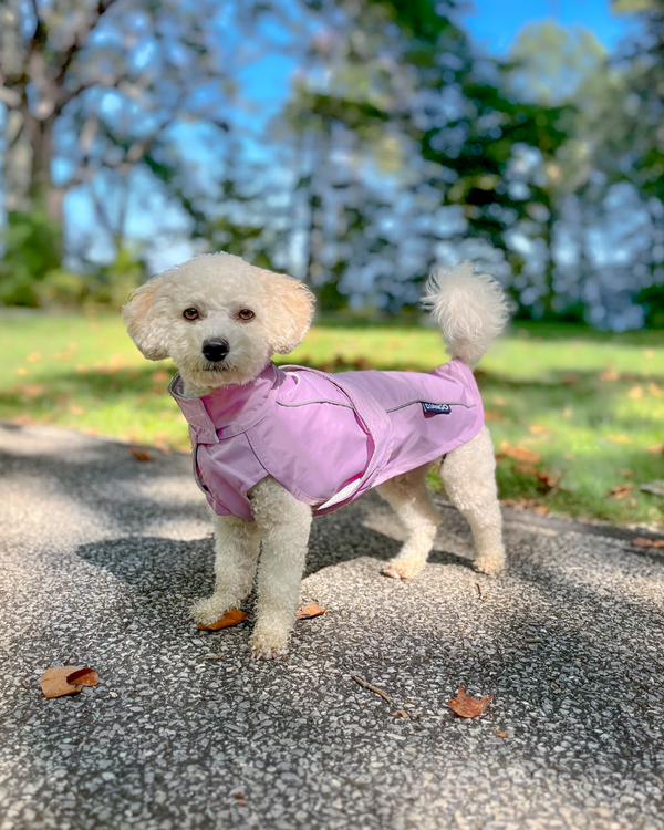 DJANGO City Slicker All-Weather Dog Jacket and Raincoat - Lilac Purple