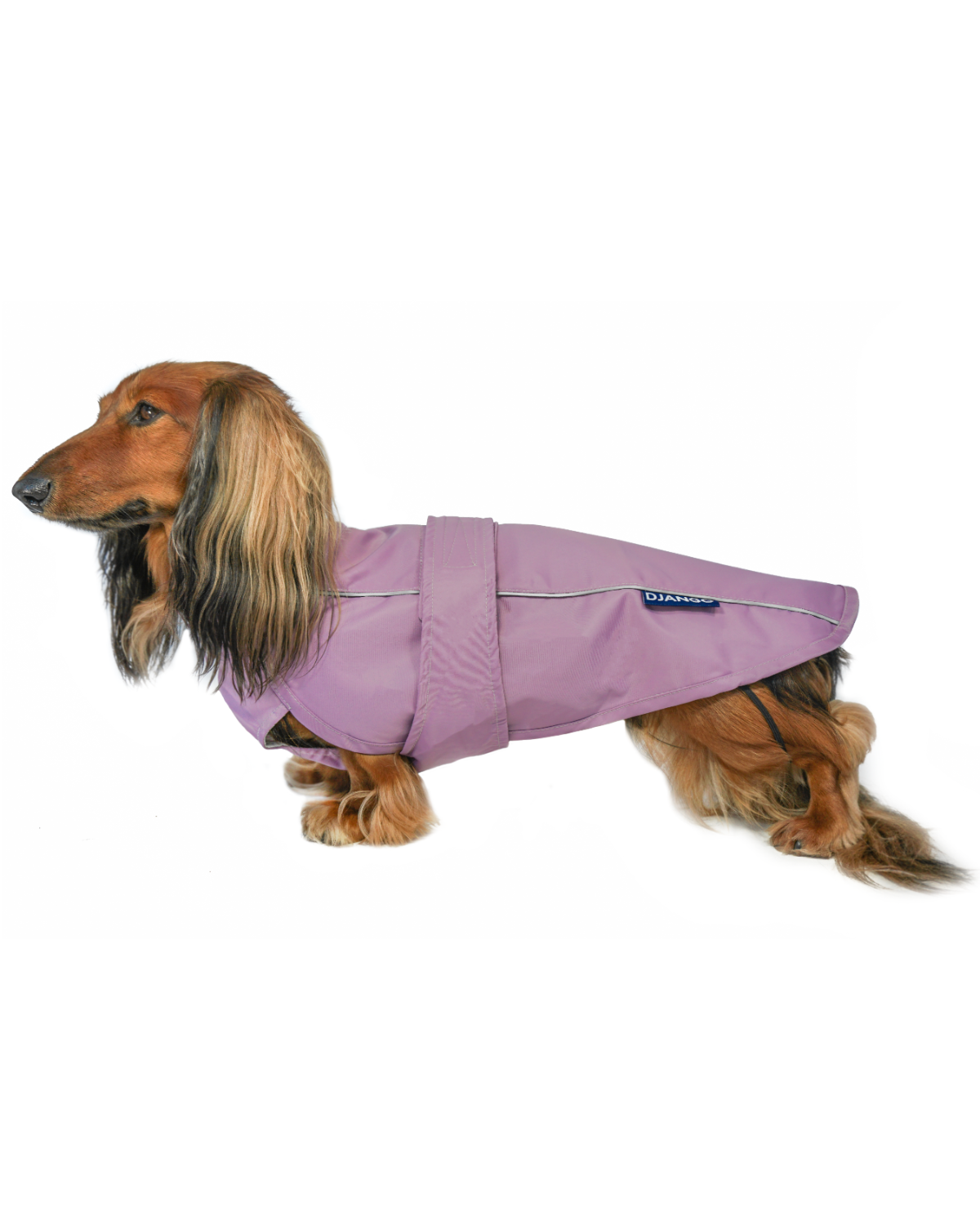 The DJANGO City Slicker in Lilac Purple is a water-repellent raincoat designed for small and medium dog breeds like dachshunds, beagles, and poodles. This lightweight jacket ensures your dog stays dry and stylish, even during the rainiest walks.