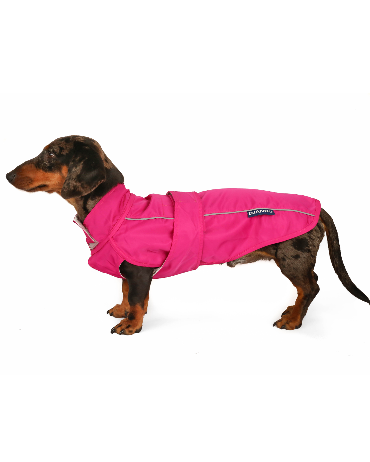 The DJANGO City Slicker in Cerise Pink is a water-repellent dog raincoat designed for small dogs like dachshunds, poodles, and long-bodied breeds. This lightweight jacket offers premium rain protection while keeping your dog stylish and dry during wet weather walks.