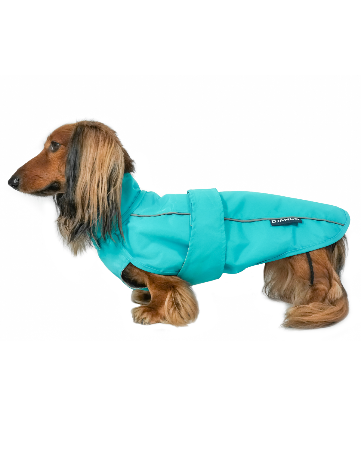 The DJANGO City Slicker in Topaz Blue is a water-repellent dog raincoat designed for small dogs, dachshunds, and other long-bodied breeds. This lightweight jacket offers top-tier protection from rain and wet conditions while keeping your dog comfortable and dry. A premium choice for rainy day walks and outdoor adventures.