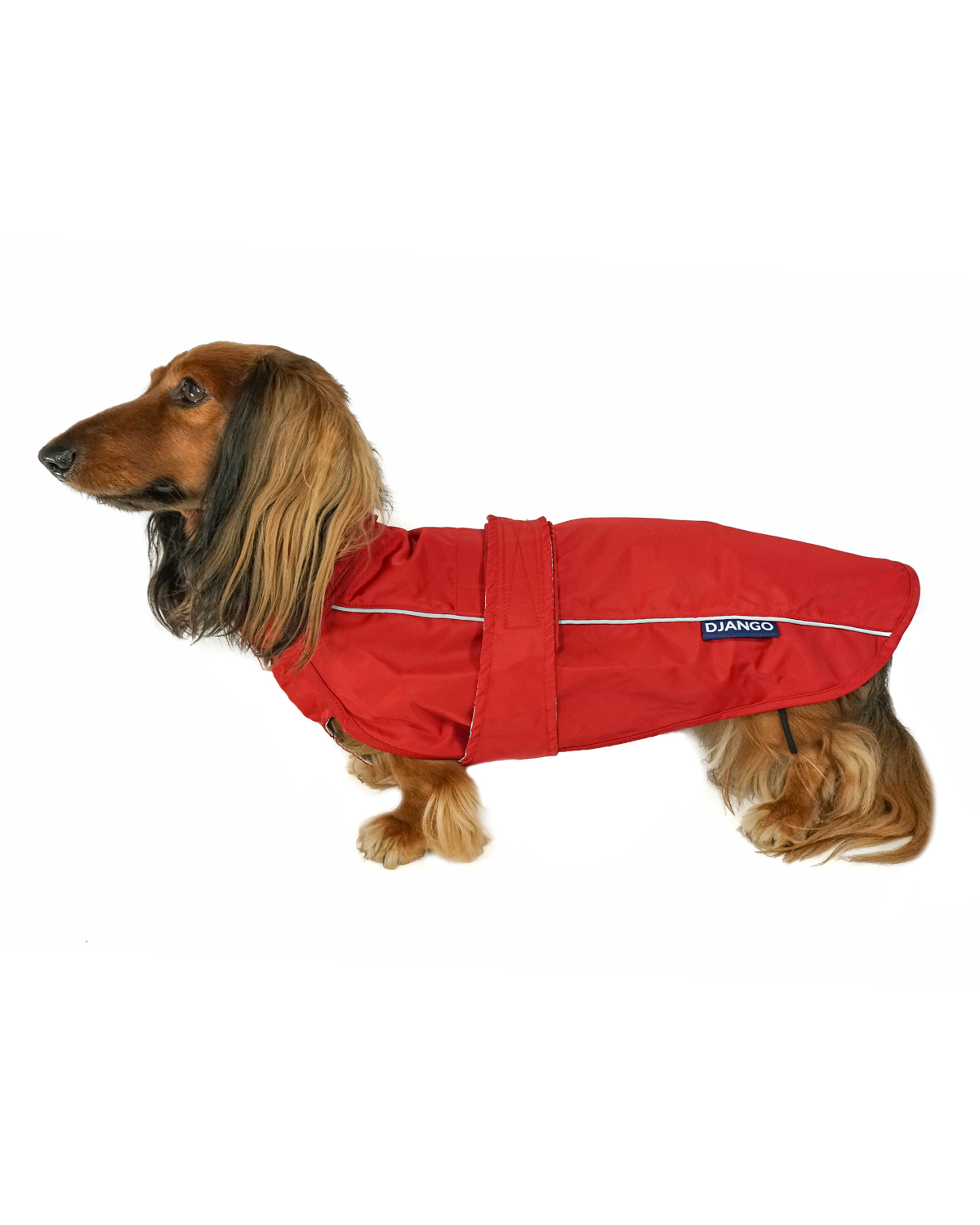 The DJANGO City Slicker in Cherry Red is a water-repellent raincoat designed for small and medium dog breeds like dachshunds, terriers, and poodles. This lightweight jacket offers premium protection from rain, ensuring your dog stays dry and comfortable during wet weather walks.