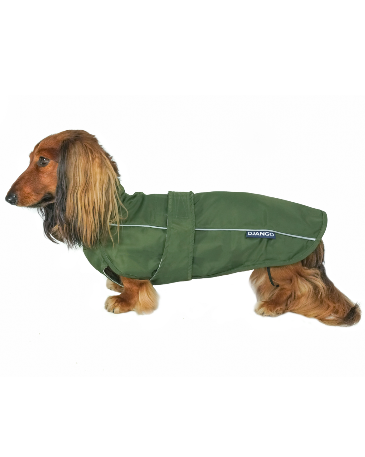 Keep your dog dry and stylish with the DJANGO City Slicker in Kombu Green. This waterproof dog jacket is perfect for small dogs, dachshunds, and long-bodied breeds, offering a lightweight design and premium protection from the rain. The ideal raincoat for dachshunds and other small dogs, it combines comfort, durability, and weather resistance for all your outdoor adventures.