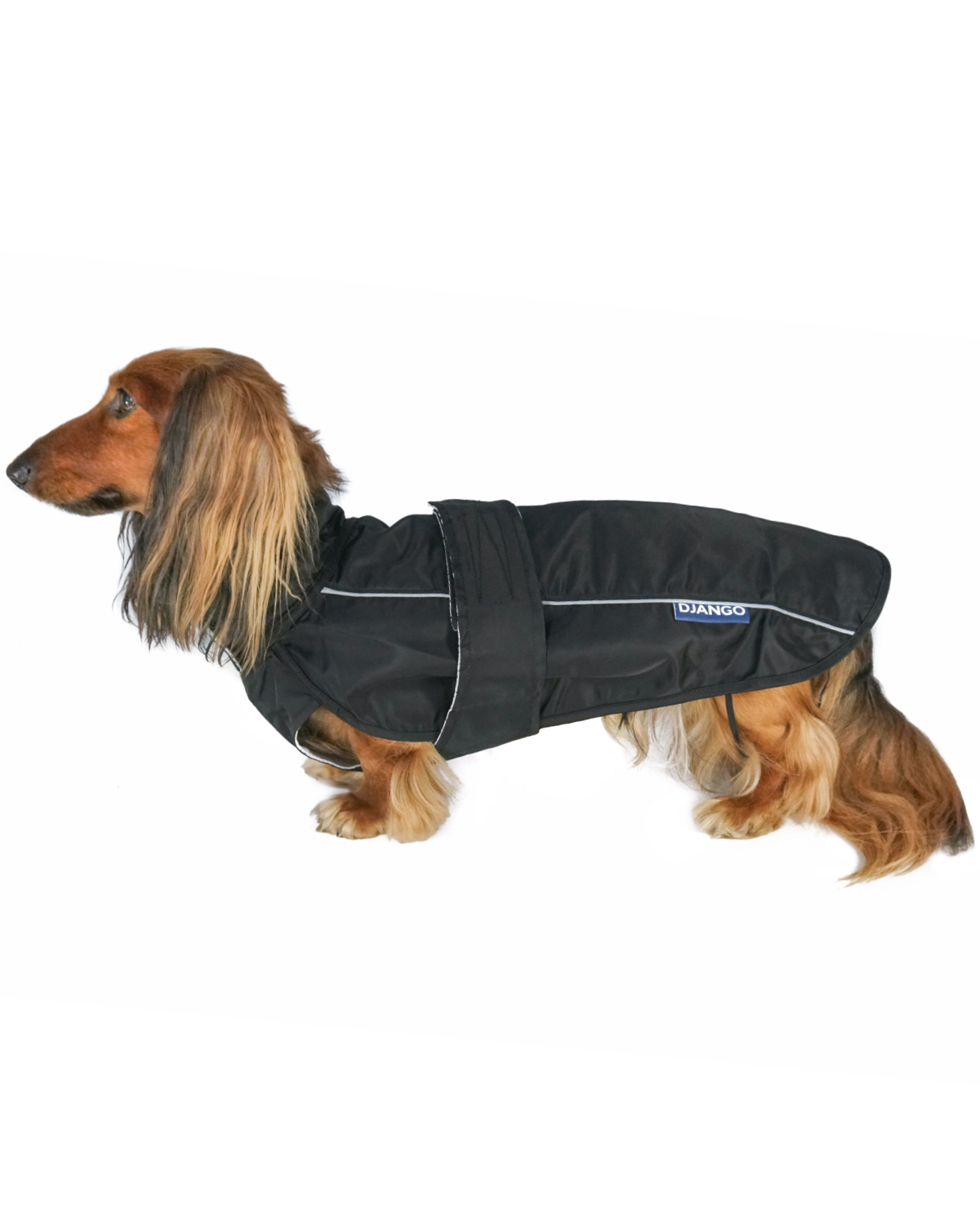 The DJANGO City Slicker in Black is a premium waterproof dog raincoat designed for small dogs, dachshunds, and other long-bodied breeds. This lightweight, weather-resistant jacket ensures your dog stays dry and comfortable, making it the best raincoat for small dogs in wet weather. Perfect for everyday walks or outdoor adventures.