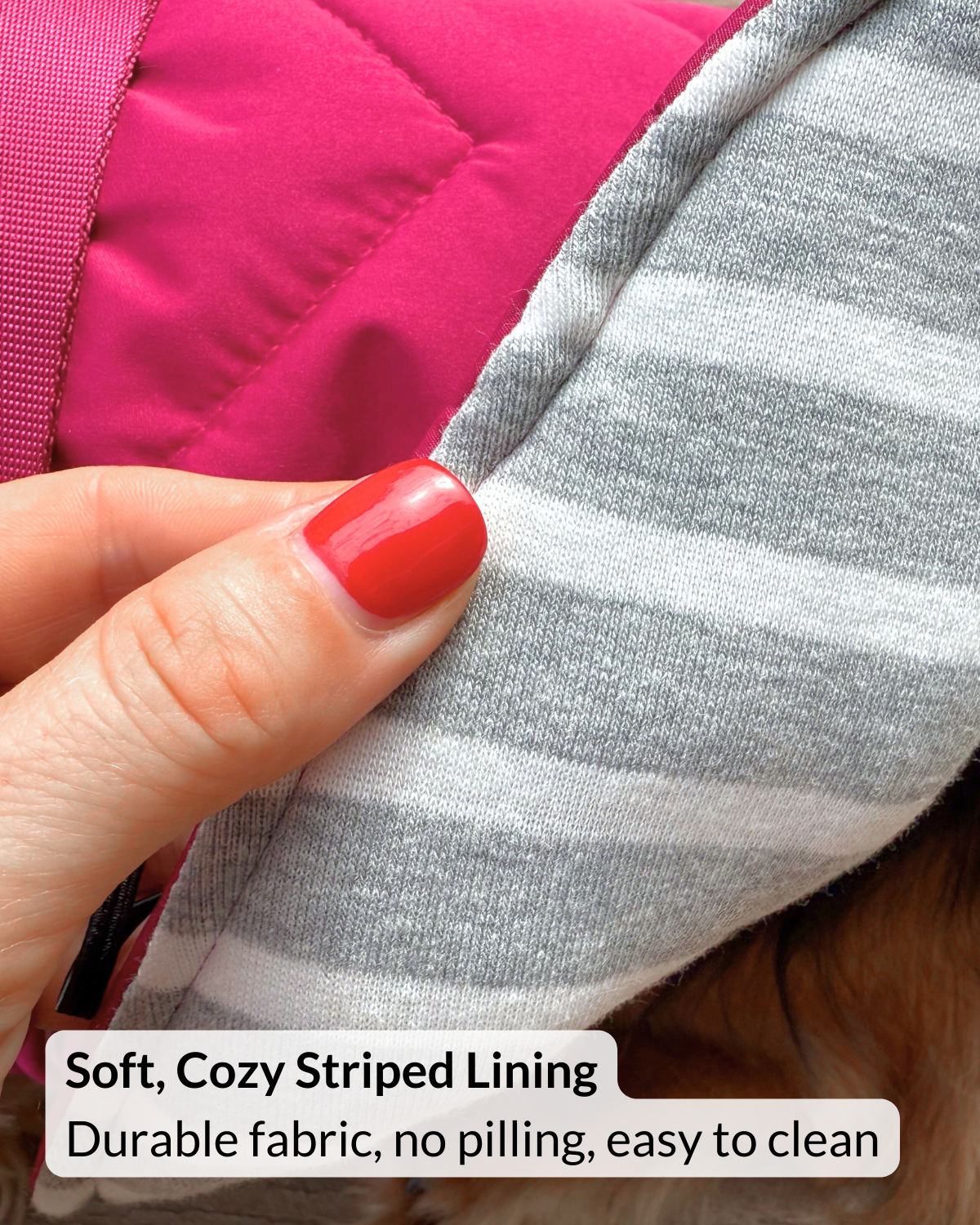 Close-up of a hand holding a warm puffer dog jacket with a soft, cozy striped lining.