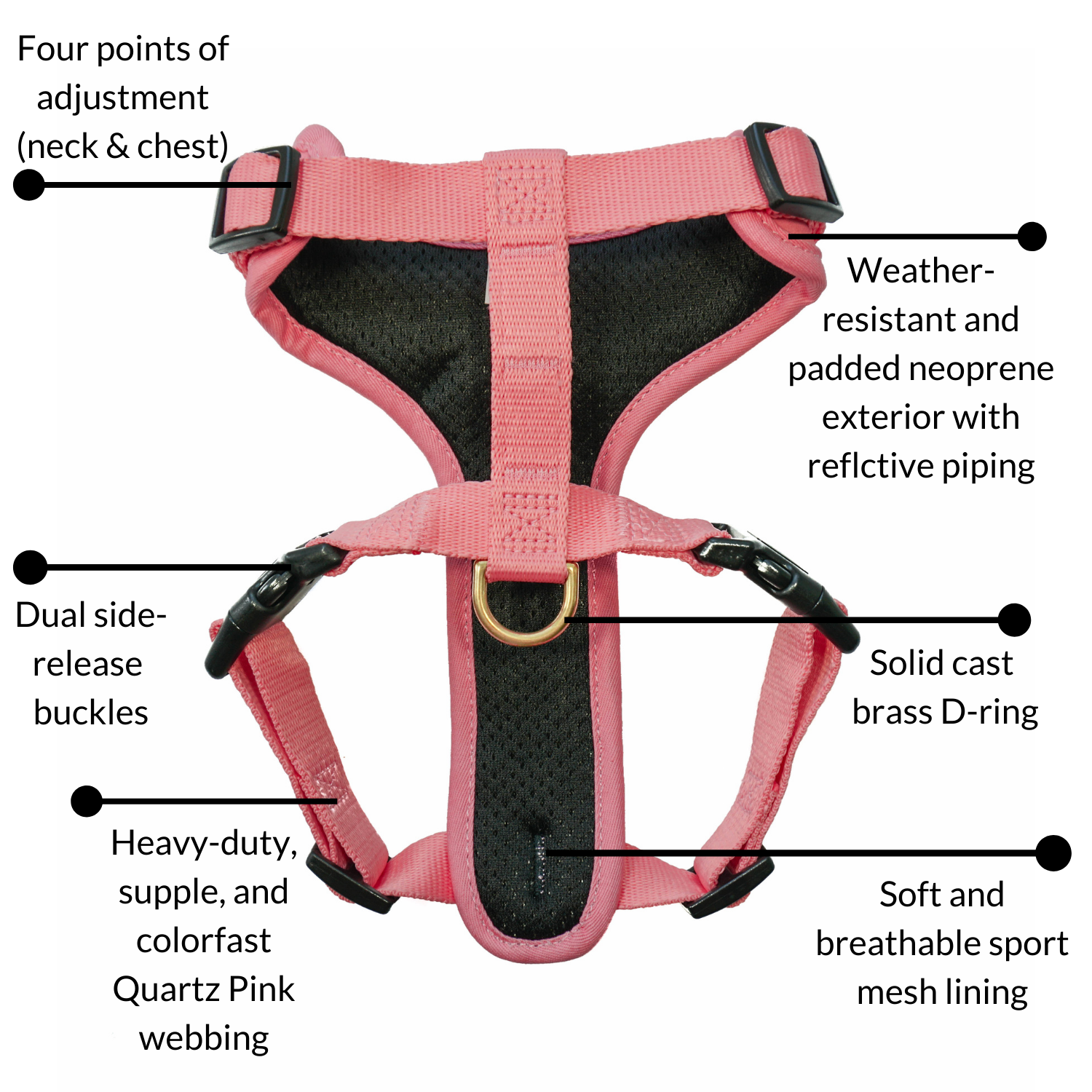 DJANGO's Adventure Cat Harness features a water-resistant and durable neoprene exterior, a lightweight and padded cat harness body, super soft custom webbing for max comfort, reflective piping for low light adventures, secure side release buckles for easy on and off, and a beautiful solid cast brass D-ring - djangobrand.com