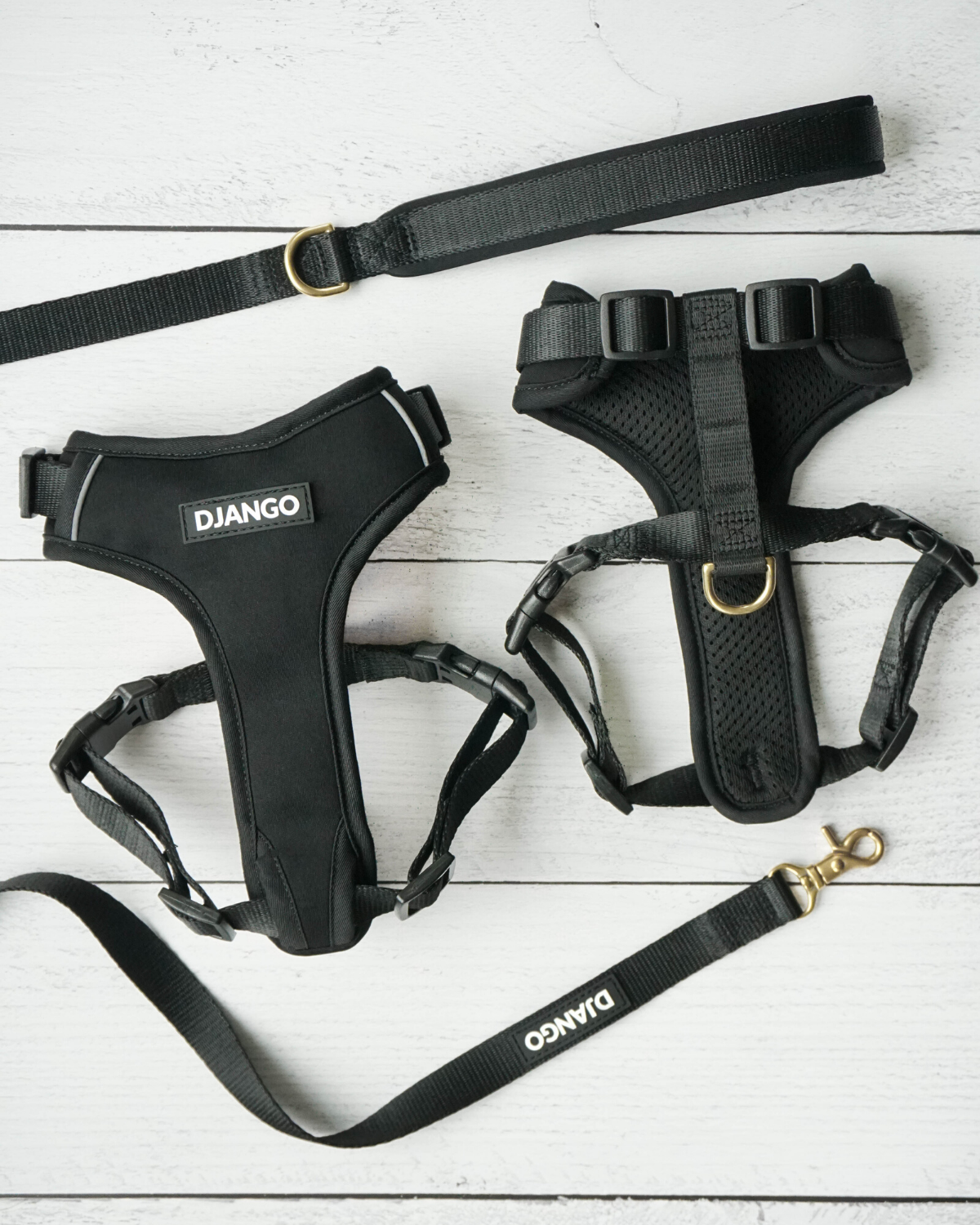 Pair your DJANGO Adventure Cat Harness with the matching Adventure Leash. Small and standard cat leash sizes are available for cats of all sizes - djangobrand.com