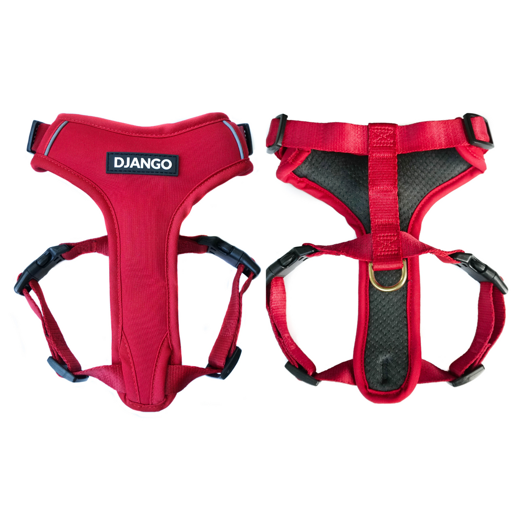 DJANGO Adventure Cat Harness in Crimson Red - djangobrand.com