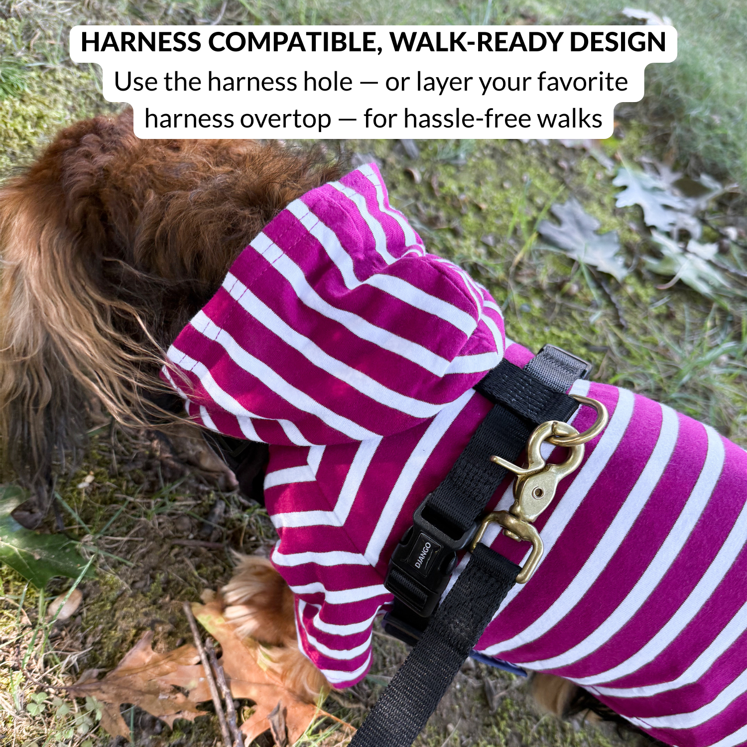 Dog wearing a pink and white striped dog hoodie with a harness and D-ring, standing on grass.