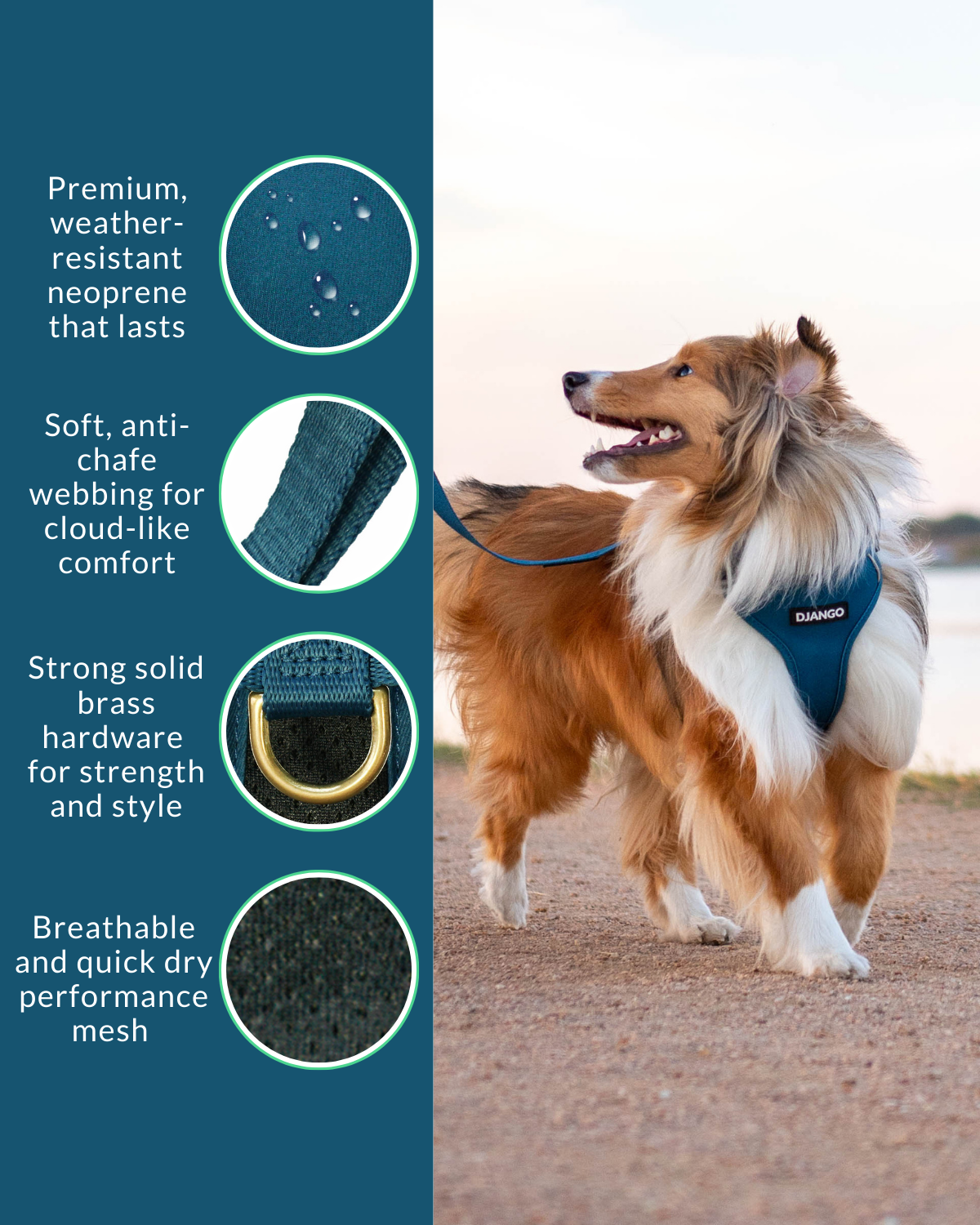 Crafted from premium neoprene and reinforced with heavy-duty webbing, this adjustable harness for everyday use provides long-lasting durability and security for your small dog.
