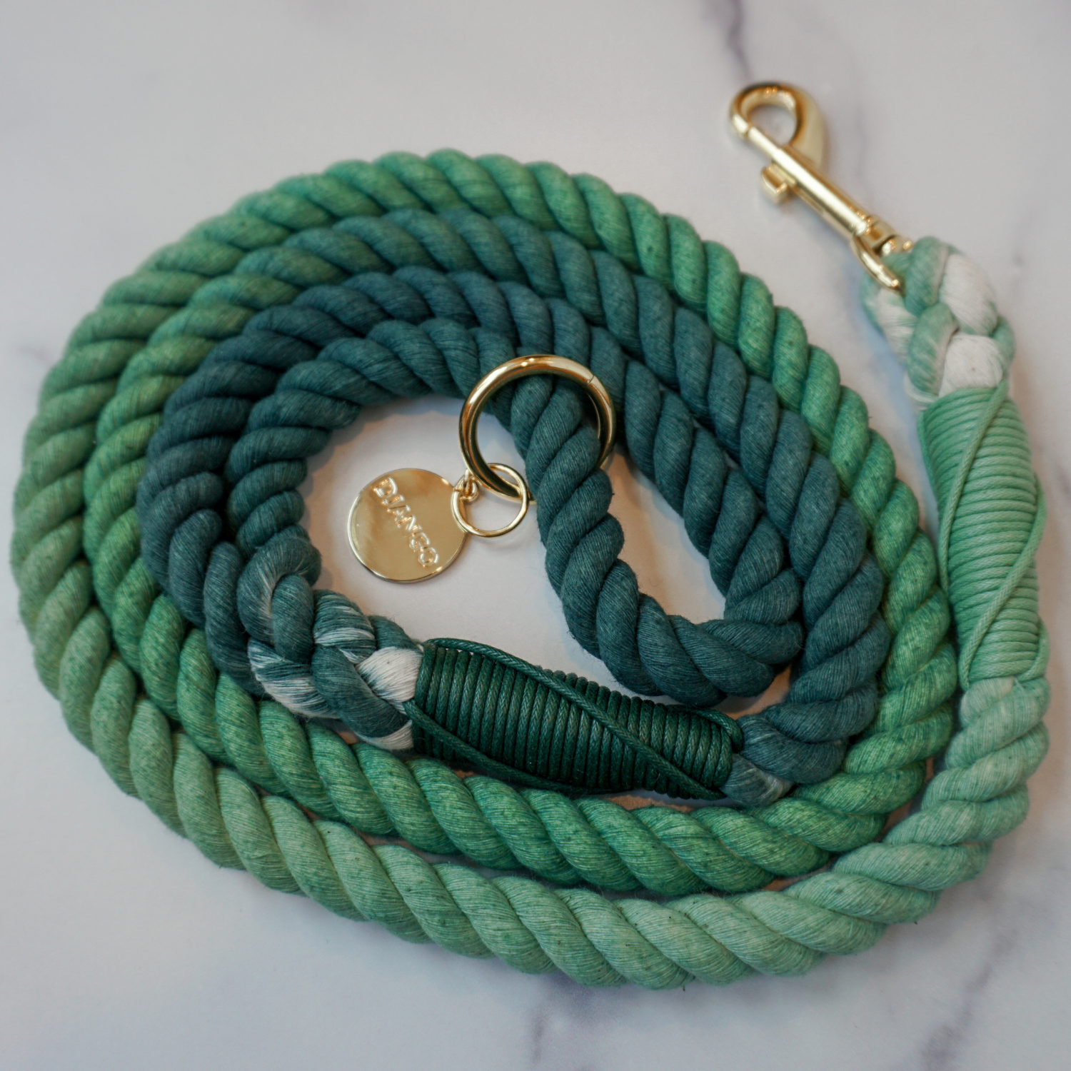Designed for small, medium, and large dogs with a secure grip