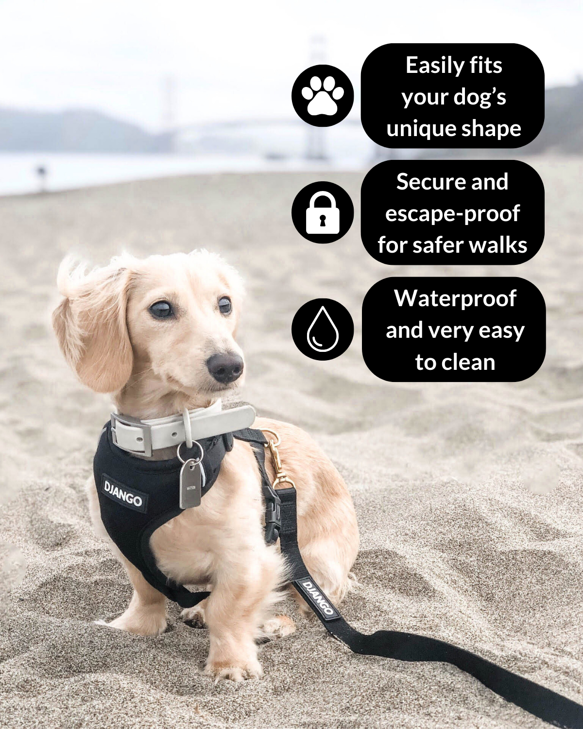 This DJANGO dog harness is made with high-quality neoprene, breathable mesh, and solid brass hardware for lasting performance.
