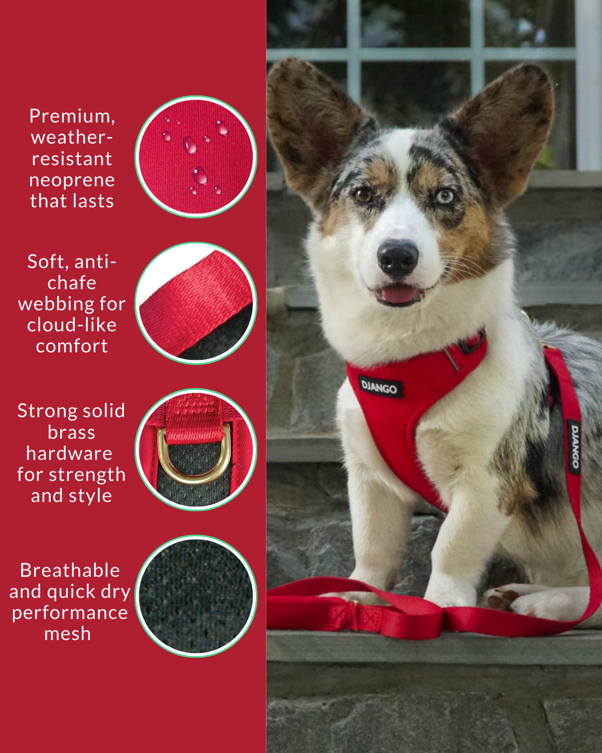 Made from premium neoprene, reinforced webbing, and solid brass hardware, this terrier and dachshund and corgi dog harness is built to last while looking great.
