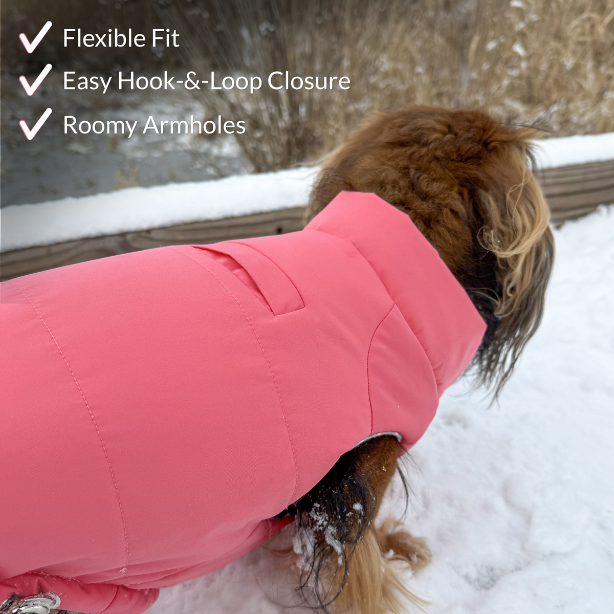 Dog walking in snow while wearing a pink comfortable winter dog coat with harness hole and adjustable fit