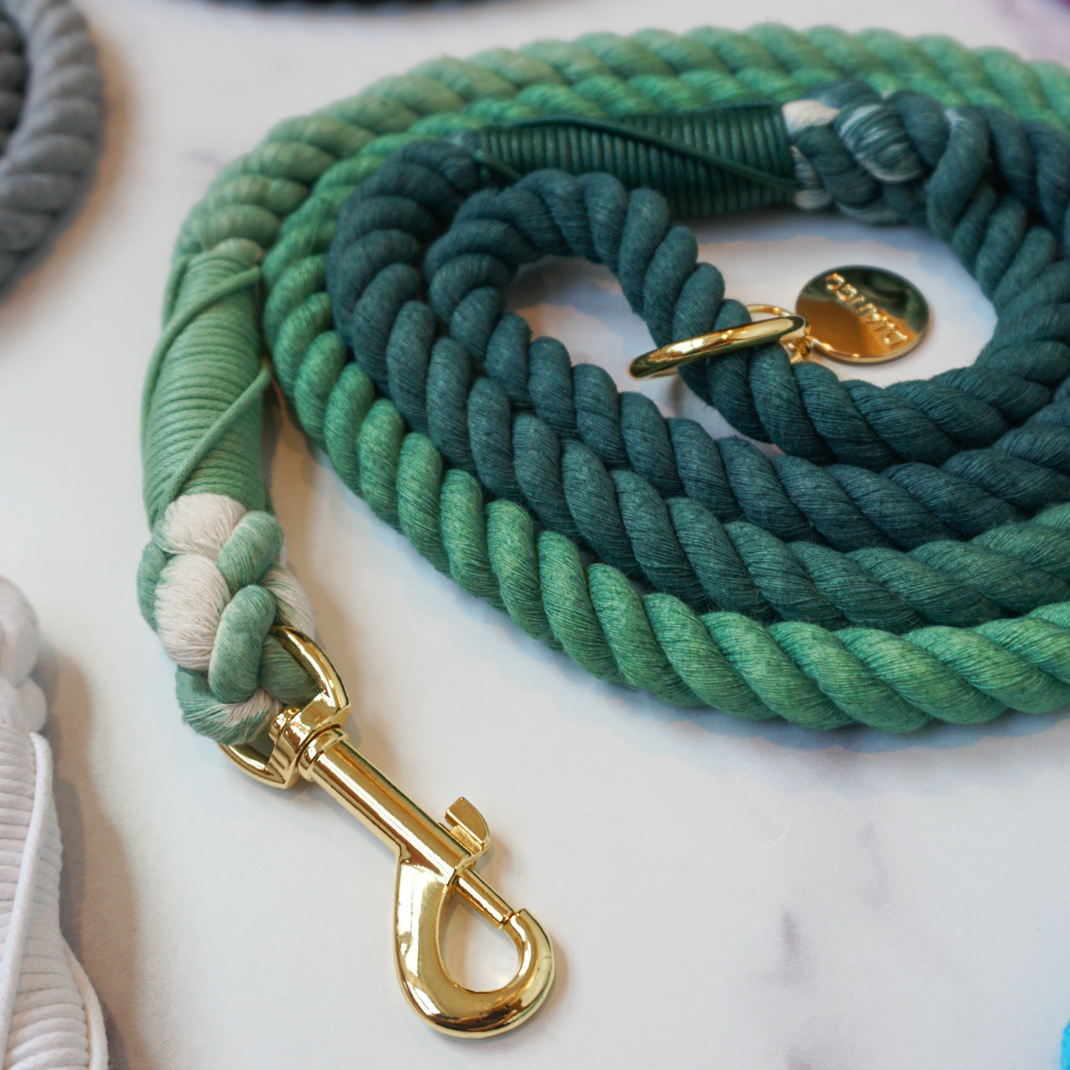 #color_Forest Green Ombré