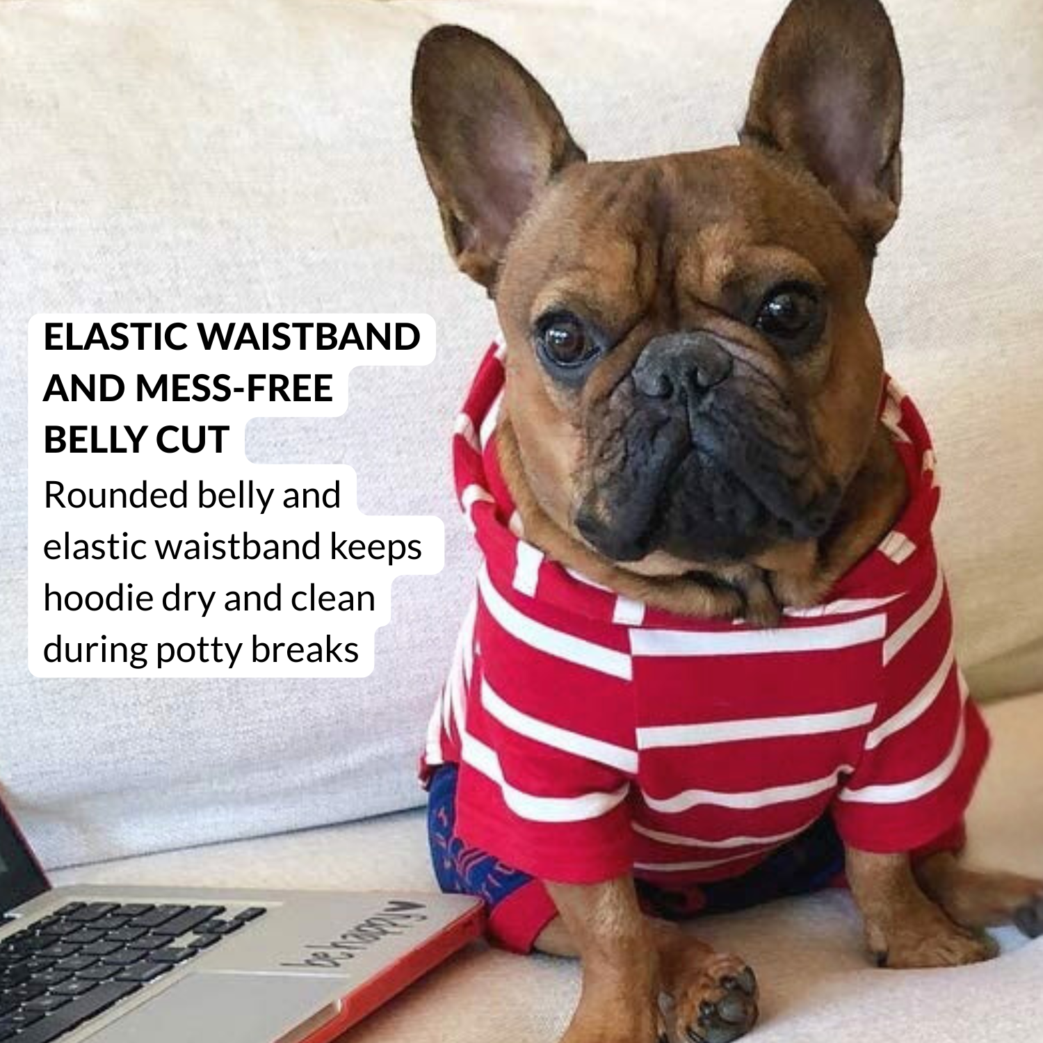 Small Dog Hoodie Red Stripes Lightweight Pullover
Lightweight red striped pullover dog hoodie for French Bulldog small breed dogs