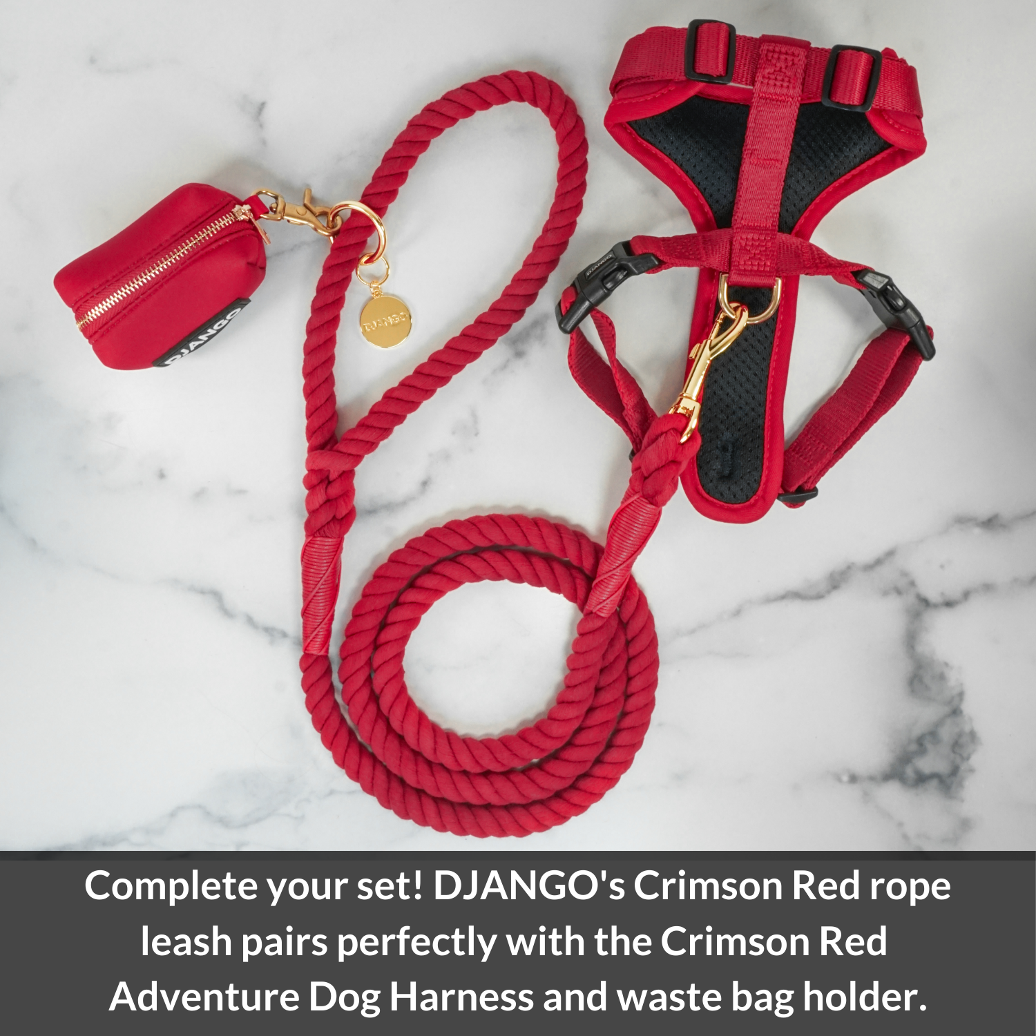 A stylish and sturdy red leash, perfect for dogs of all sizes.